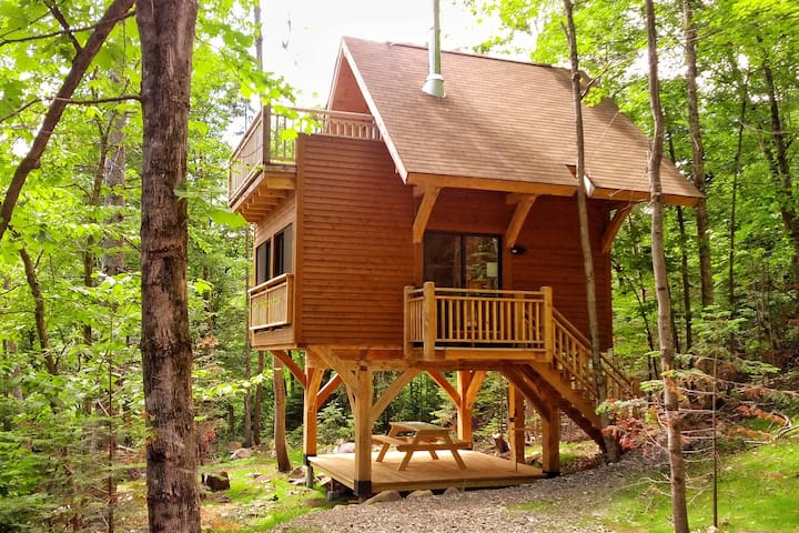 Exceptional Treehouse Comfort